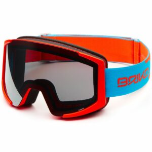 Skigoggles